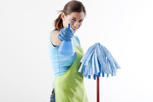 Accessibility statement illustration for Carpet Cleaners N4 website users