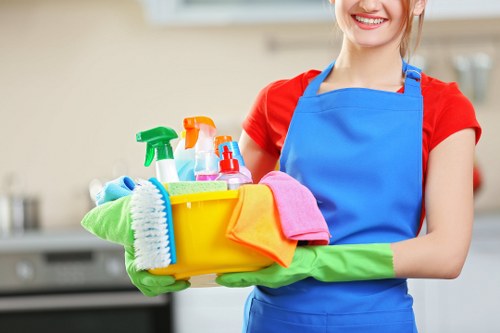 Professional carpet cleaning service for a family home in N4