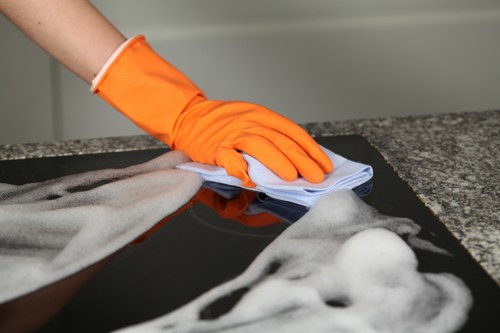 Professional rug cleaning service for a home in N4