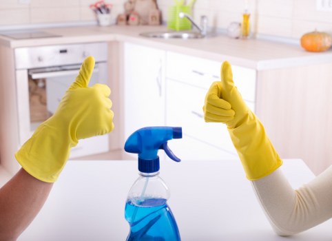 Regular cleaning service for a home in N4