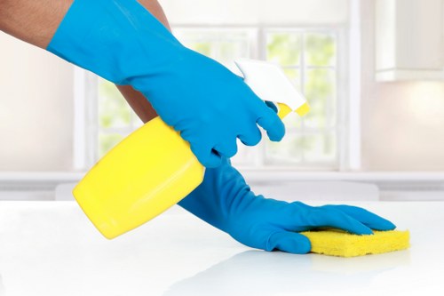 Professional one off cleaning for a flat in N4