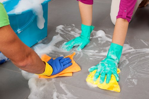 Sustainable Carpet Cleaners N4 promoting reuse, recycling, and reduced emissions