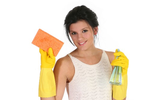 Local pet stain and odour removal service for carpets in N4