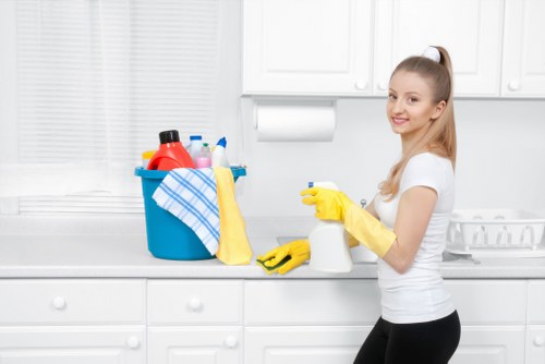 Weekly and fortnightly cleaning support for N4 properties