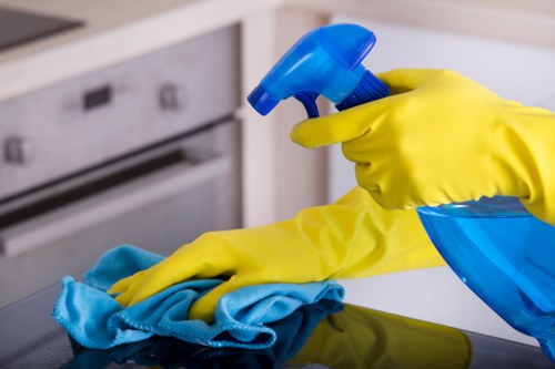 Local technician treating stubborn pet odour and stains in N4
