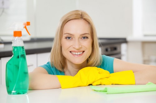 Cleaner using protective measures during carpet cleaning