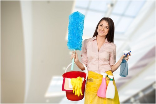Deep cleaning and move-out cleaning support for N4 properties