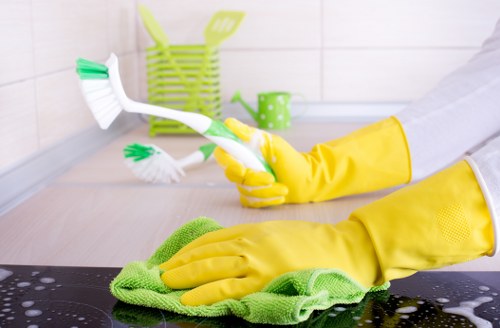 SSL encrypted Carpet Cleaners N4 online payment process