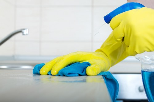 Regular domestic cleaning for busy households in N4
