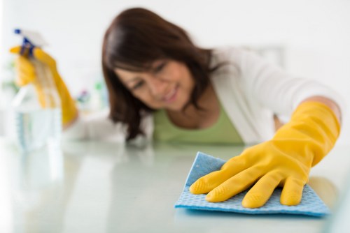 Supplier due diligence and audit process for carpet cleaning services