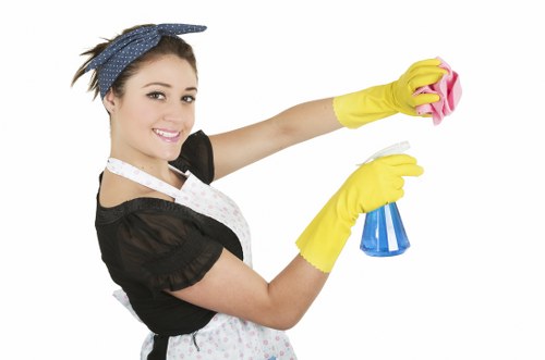 Roofline maintenance for homes and flats in N4